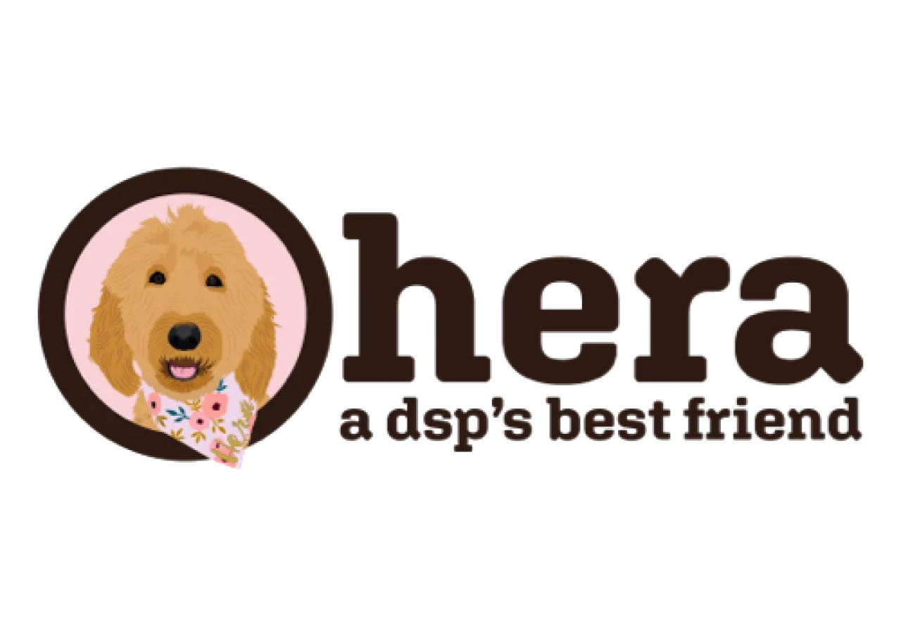 hera-solutions-inc-logo